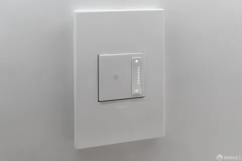 a close view of a potted plant on a door