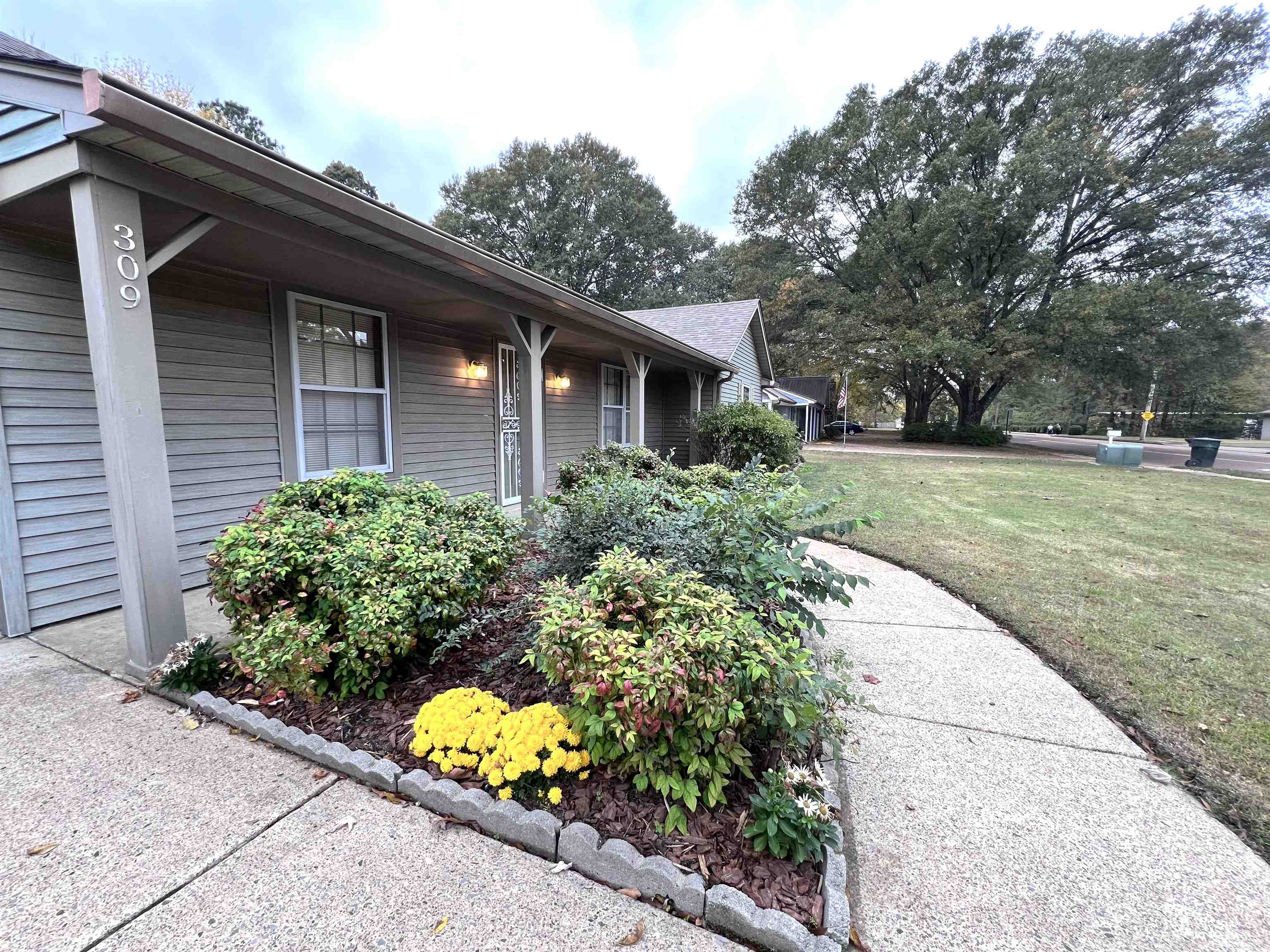 309 West Powell Road Collierville, TN 38017 - Photo 3 of 40 a view of a backyard with large trees and plants