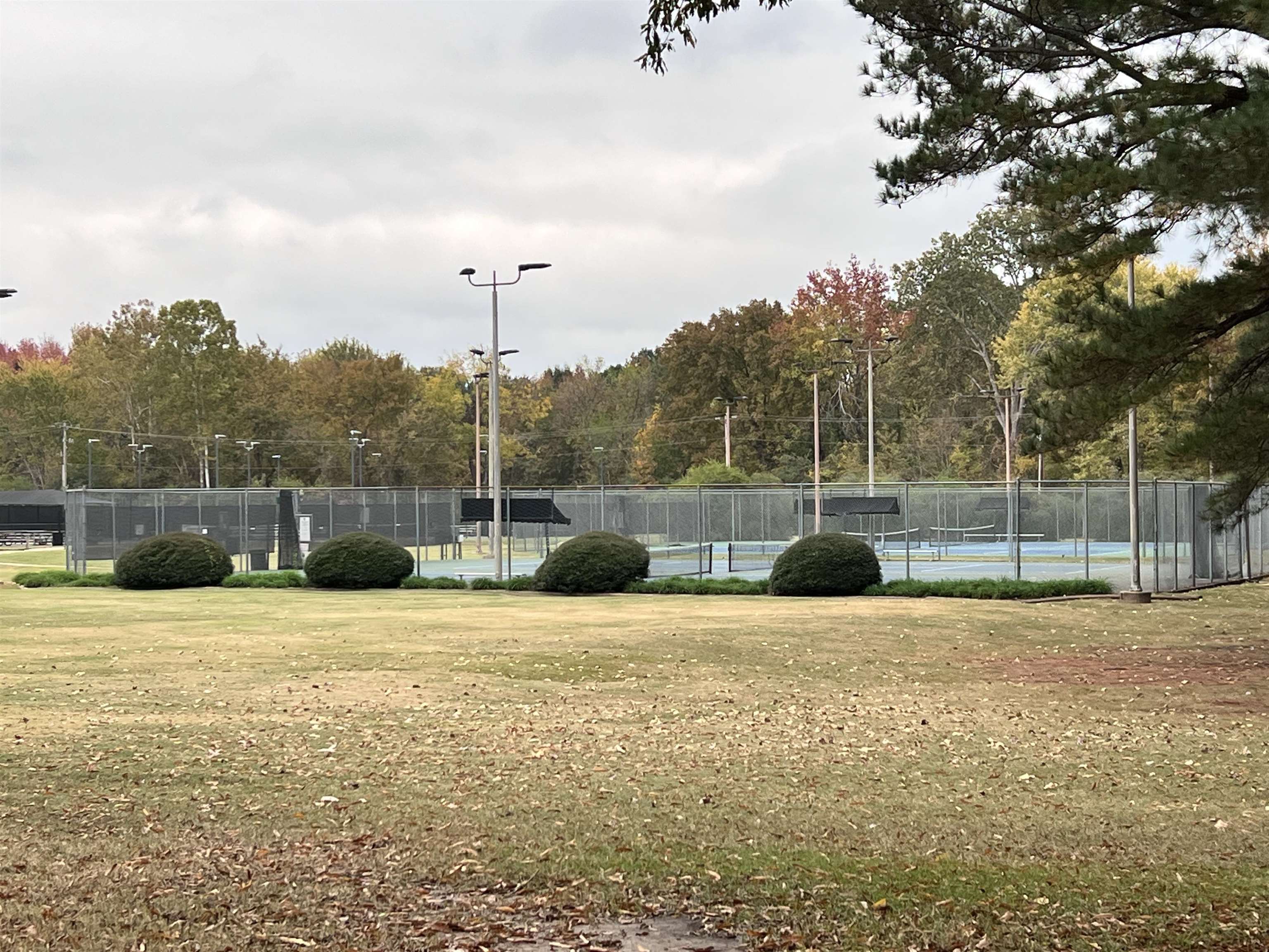 309 West Powell Road Collierville, TN 38017 - Photo 36 of 40 a view of a basketball court