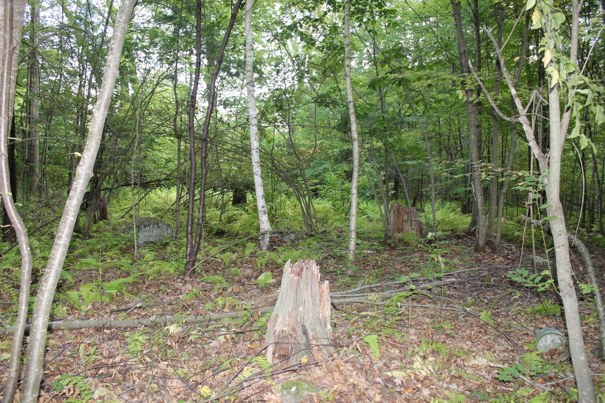 Lot 40 Osborne Road Ware, MA 01082 - Photo 4 of 9 Gallery Image 4