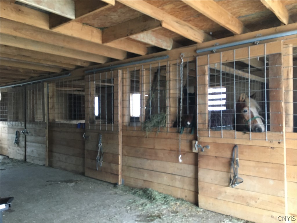 125 Hamilton Road Lisle, NY 13835 - Photo 29 of 43