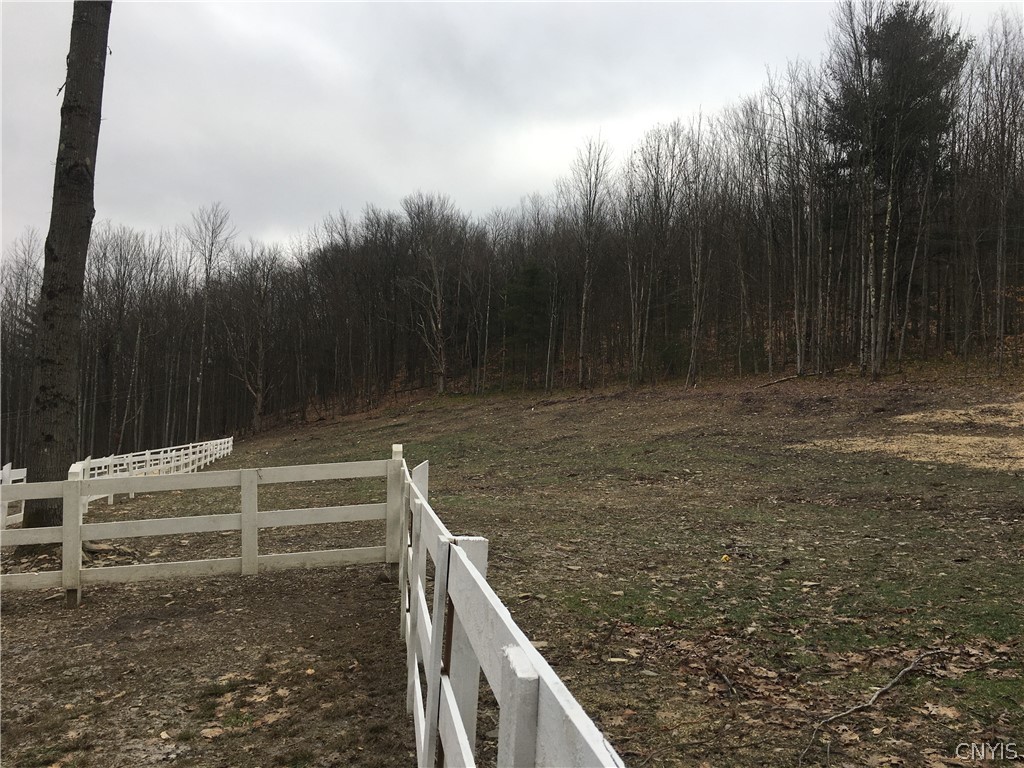 125 Hamilton Road Lisle, NY 13835 - Photo 35 of 43