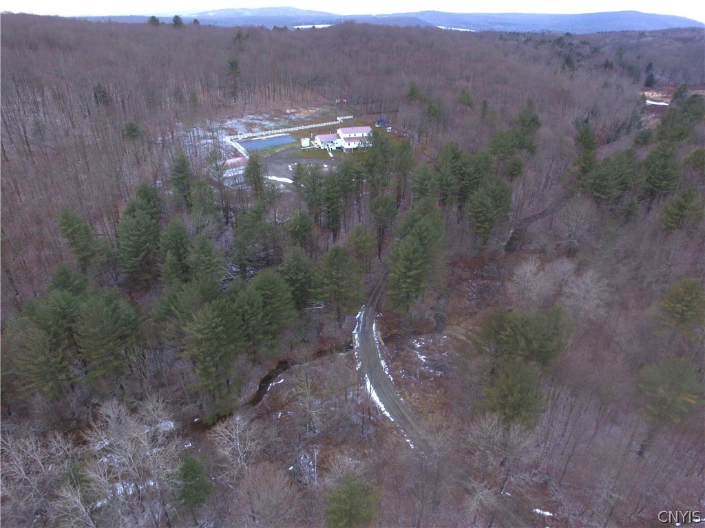 125 Hamilton Road Lisle, NY 13835 - Photo 37 of 43