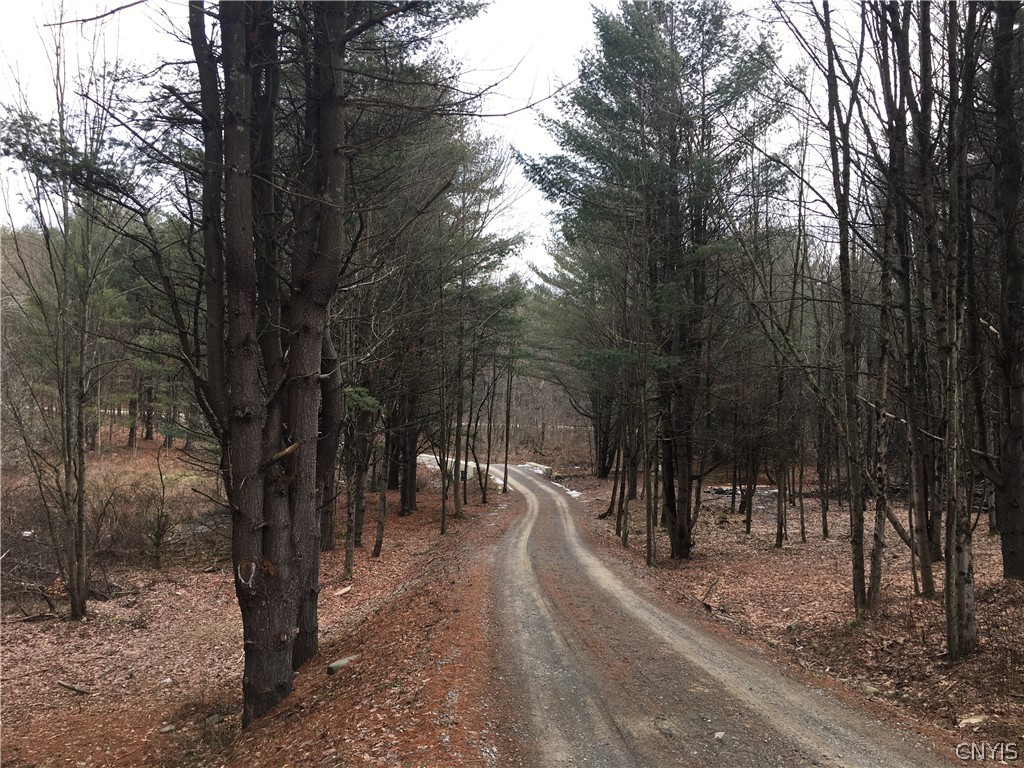 125 Hamilton Road Lisle, NY 13835 - Photo 41 of 43 Driveway