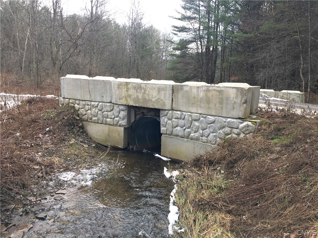 125 Hamilton Road Lisle, NY 13835 - Photo 42 of 43