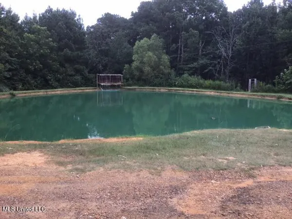 $209,000 | 396 Rankin-Ferguson Road, Pelahatchie, MS 39145