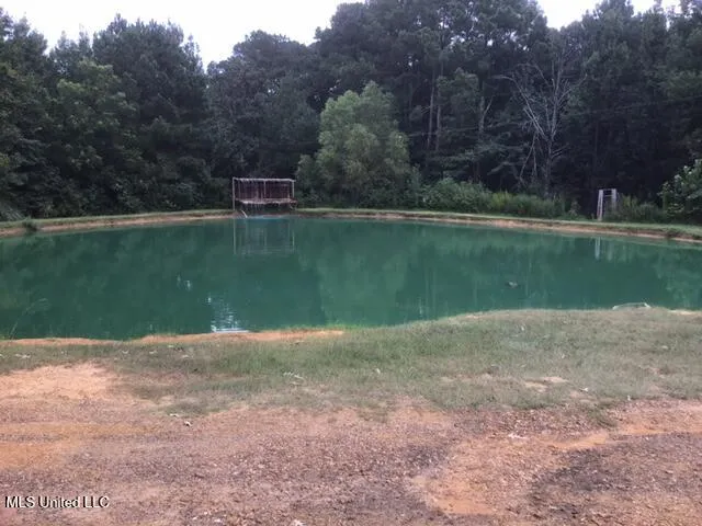 $209,000 | 396 Rankin-Ferguson Road, Pelahatchie, MS 39145