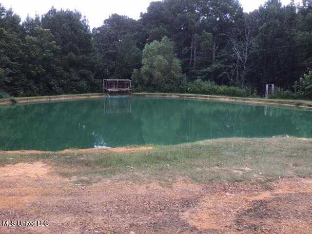 396 Rankin-Ferguson Road Pelahatchie, MS 39145 - Photo 20 of 34 IMG_2337