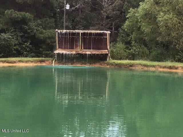 396 Rankin-Ferguson Road Pelahatchie, MS 39145 - Photo 21 of 34 IMG_2342