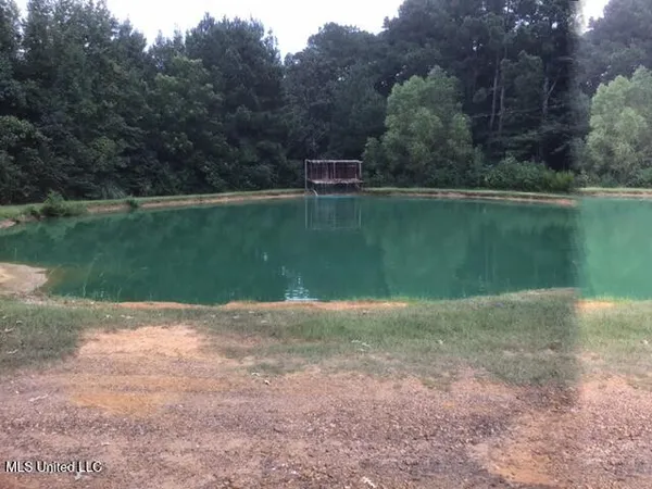 $209,000 | 396 Rankin-Ferguson Road, Pelahatchie, MS 39145