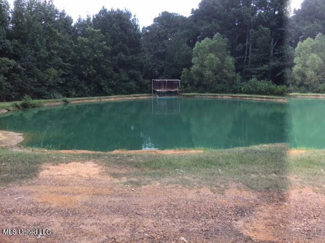 396 Rankin-Ferguson Road Pelahatchie, MS 39145 - Photo 22 of 34 IMG_2338