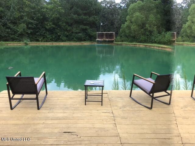 396 Rankin-Ferguson Road Pelahatchie, MS 39145 - Photo 23 of 34 IMG_2341
