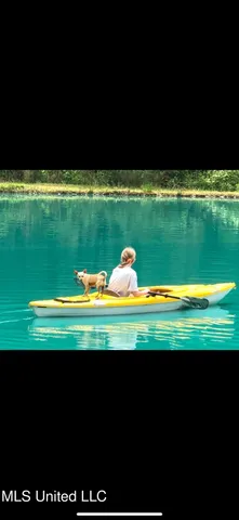 $209,000 | 396 Rankin-Ferguson Road, Pelahatchie, MS 39145