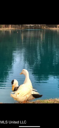 $209,000 | 396 Rankin-Ferguson Road, Pelahatchie, MS 39145