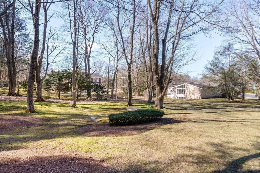 3 Tower Road Lexington, MA 02421 - Photo 3 of 38 a view of a swimming pool with tree s