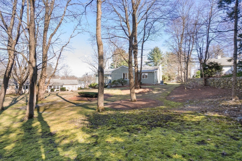 3 Tower Road Lexington, MA 02421 - Photo 38 of 38 a view of yard with tree