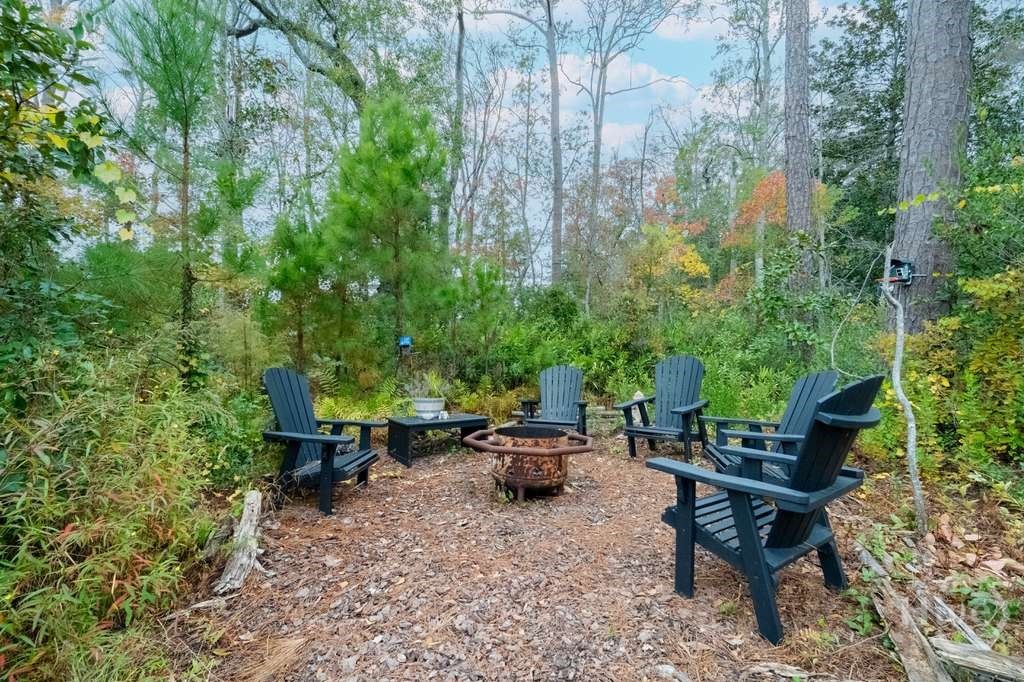 299 Lillian Street Rincon, GA 31326 - Photo 37 of 38