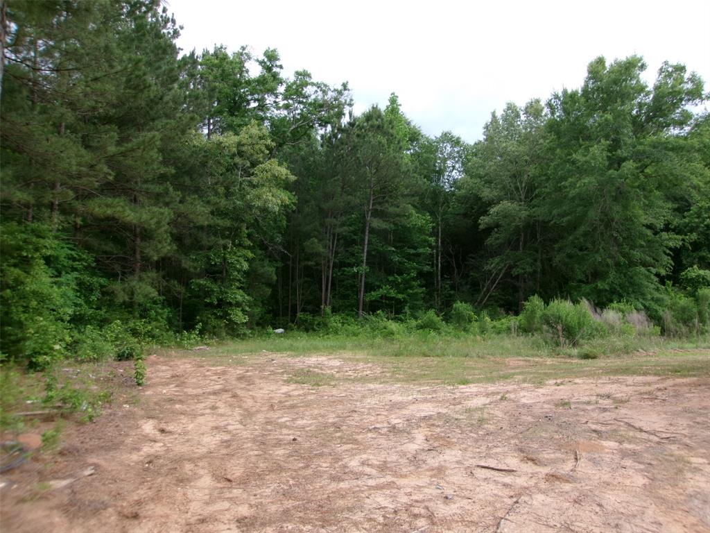 810 Williams Road Converse, LA 71419 - Photo 14 of 15 a view of outdoor space with trees all around