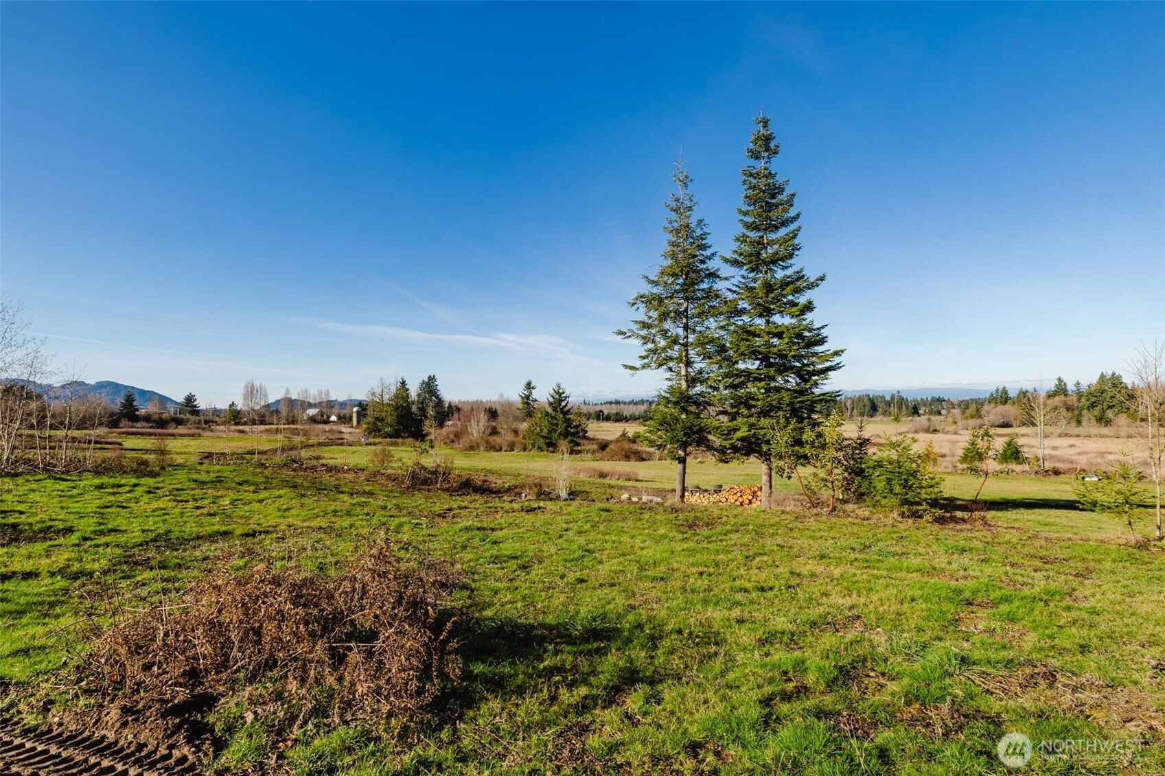 208 Laird Road Port Angeles, WA 98363 - Photo 11 of 17 a big yard with lots of green space and fog