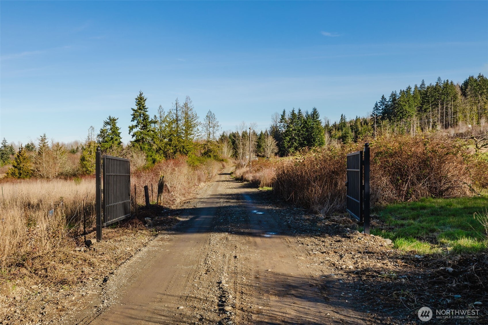 208 Laird Road Port Angeles, WA 98363 - Photo 2 of 17 a view of a yard