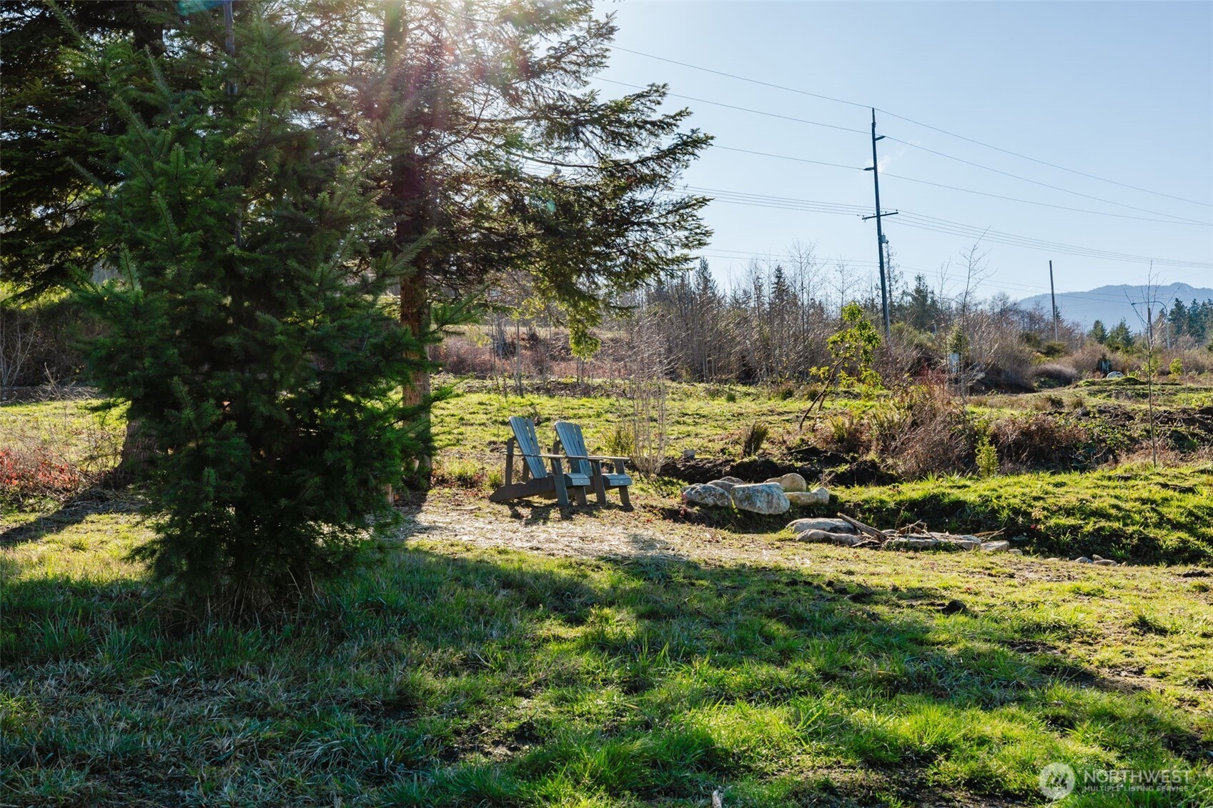 208 Laird Road Port Angeles, WA 98363 - Photo 3 of 17 a view of a park with large trees