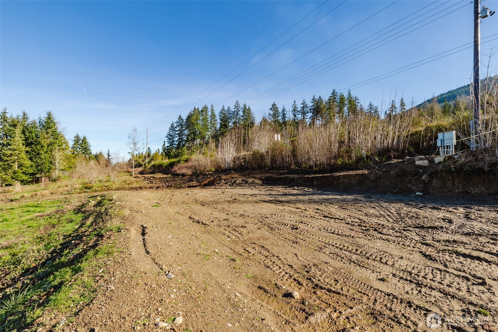 208 Laird Road Port Angeles, WA 98363 - Photo 5 of 17 a view of a yard with trees