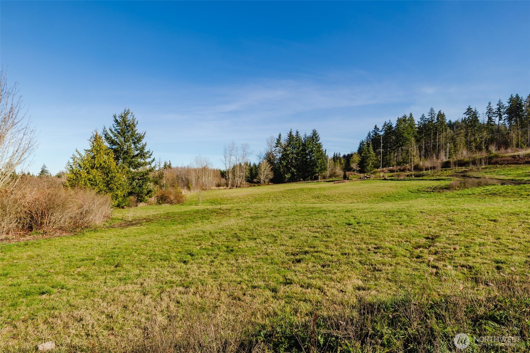208 Laird Road Port Angeles, WA 98363 - Photo 10 of 17 a view of a yard with a house