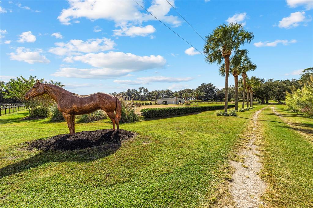 4520 Northwest 95th Avenue Road Ocala, FL 34482 - Photo 35 of 87
