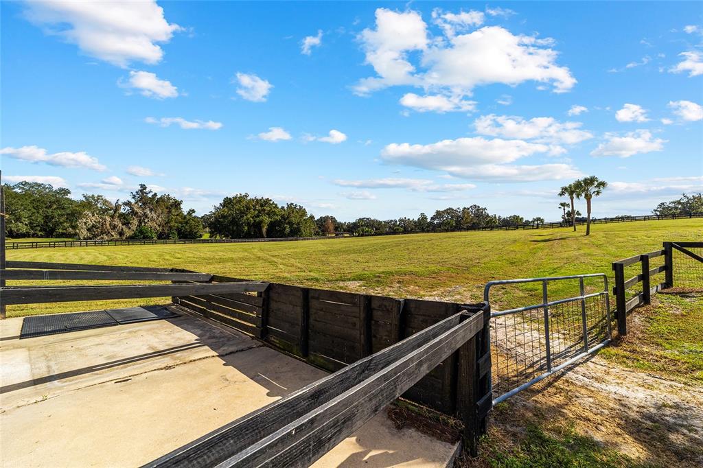 4520 Northwest 95th Avenue Road Ocala, FL 34482 - Photo 42 of 87 a view of a lake with couches in the patio