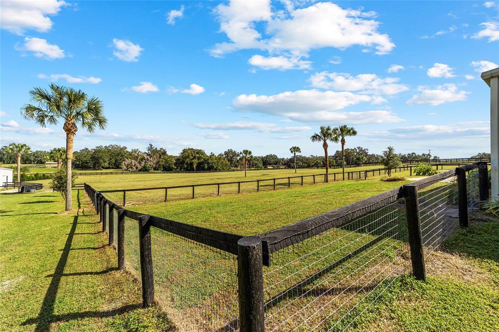 4520 Northwest 95th Avenue Road Ocala, FL 34482 - Photo 50 of 87 a view of a swimming pool with a lounge chairs