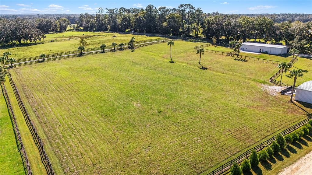 4520 Northwest 95th Avenue Road Ocala, FL 34482 - Photo 60 of 87 a view of a swimming pool with a lawn chairs