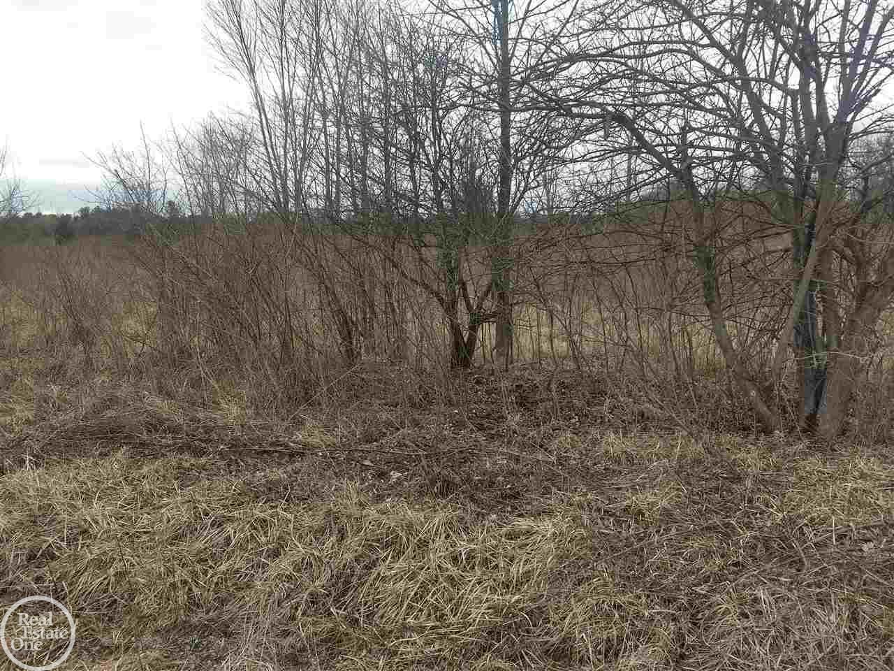 Vl Gibbons Road Jeddo, MI 48032 - Photo 2 of 2