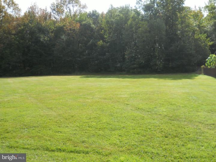 8 Ridge Road Southampton, NJ 08088 - Photo 6 of 20 View in Back