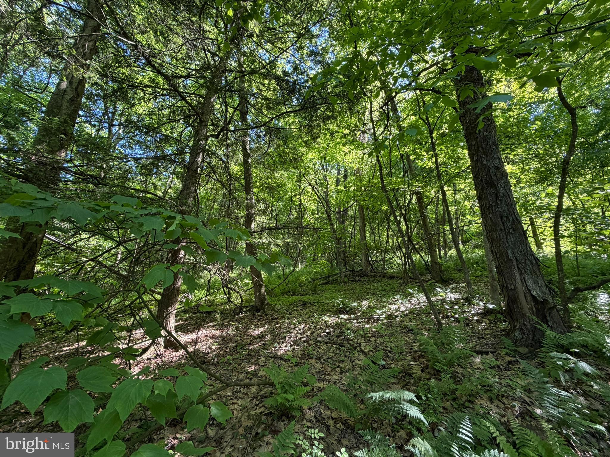 580 Fairview Road Howard, PA 16841 - Photo 28 of 100