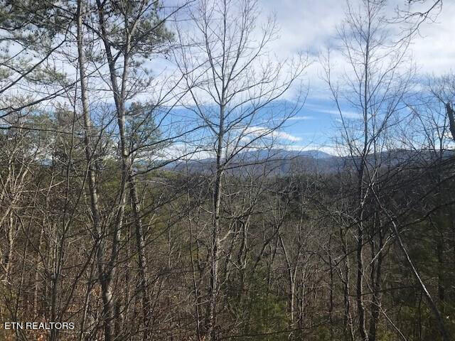 2905LightningStrikeDr_34477_1