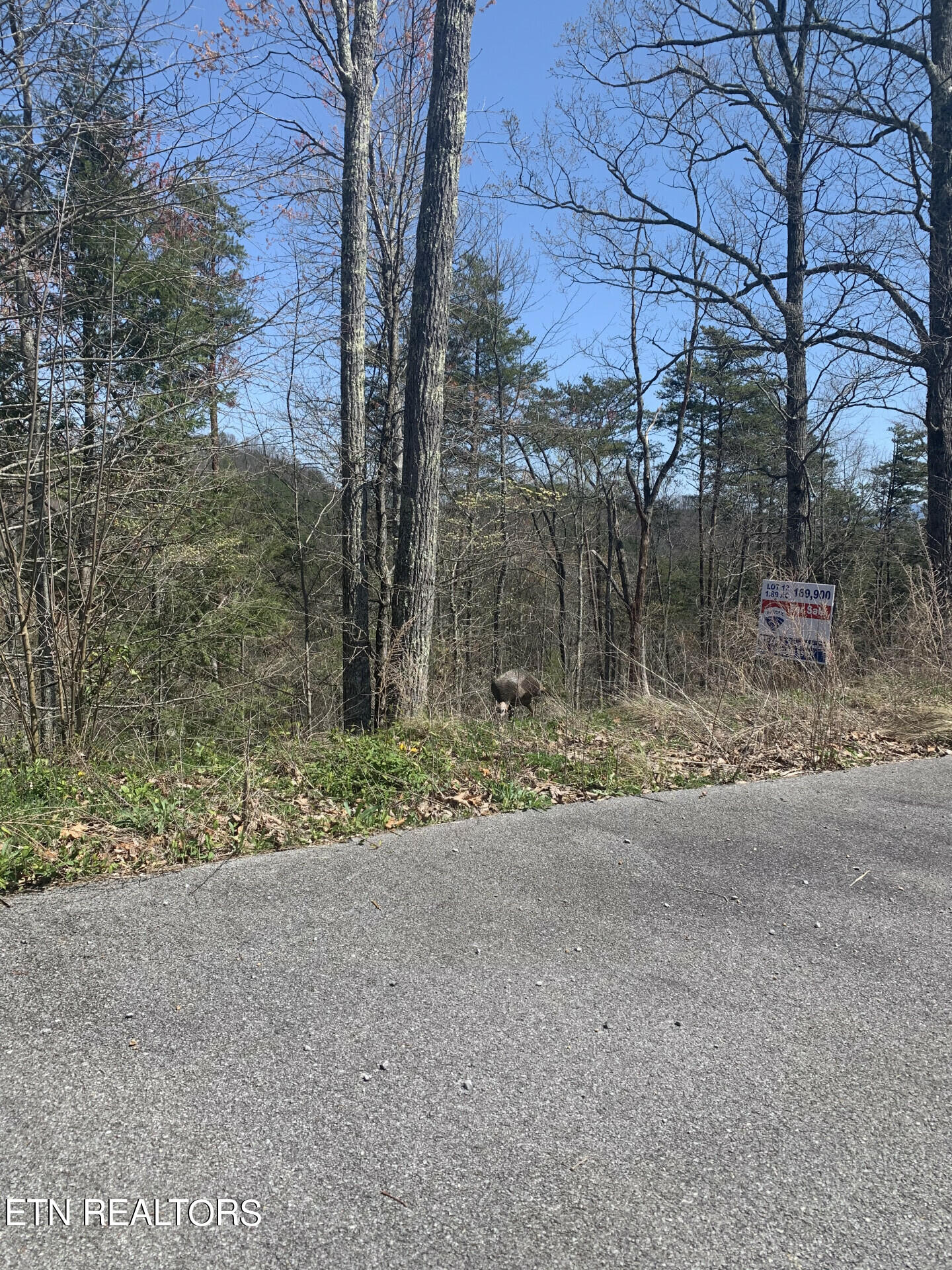 18 Lightning Strike Drive Sevierville, TN 37862 - Photo 2 of 6 2905LightningStrikeDr_34477_2