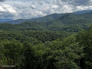 18 Lightning Strike Drive Sevierville, TN 37862 - Photo 3 of 6 2905LightningStrikeDr_34477_3