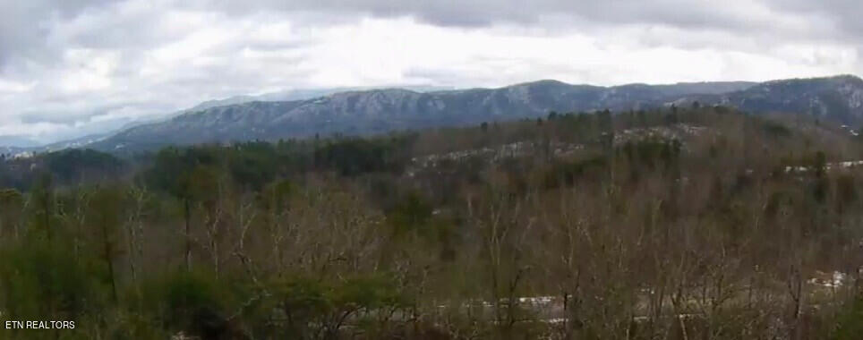 18 Lightning Strike Drive Sevierville, TN 37862 - Photo 5 of 6 2905LightningStrikeDr_34477_5