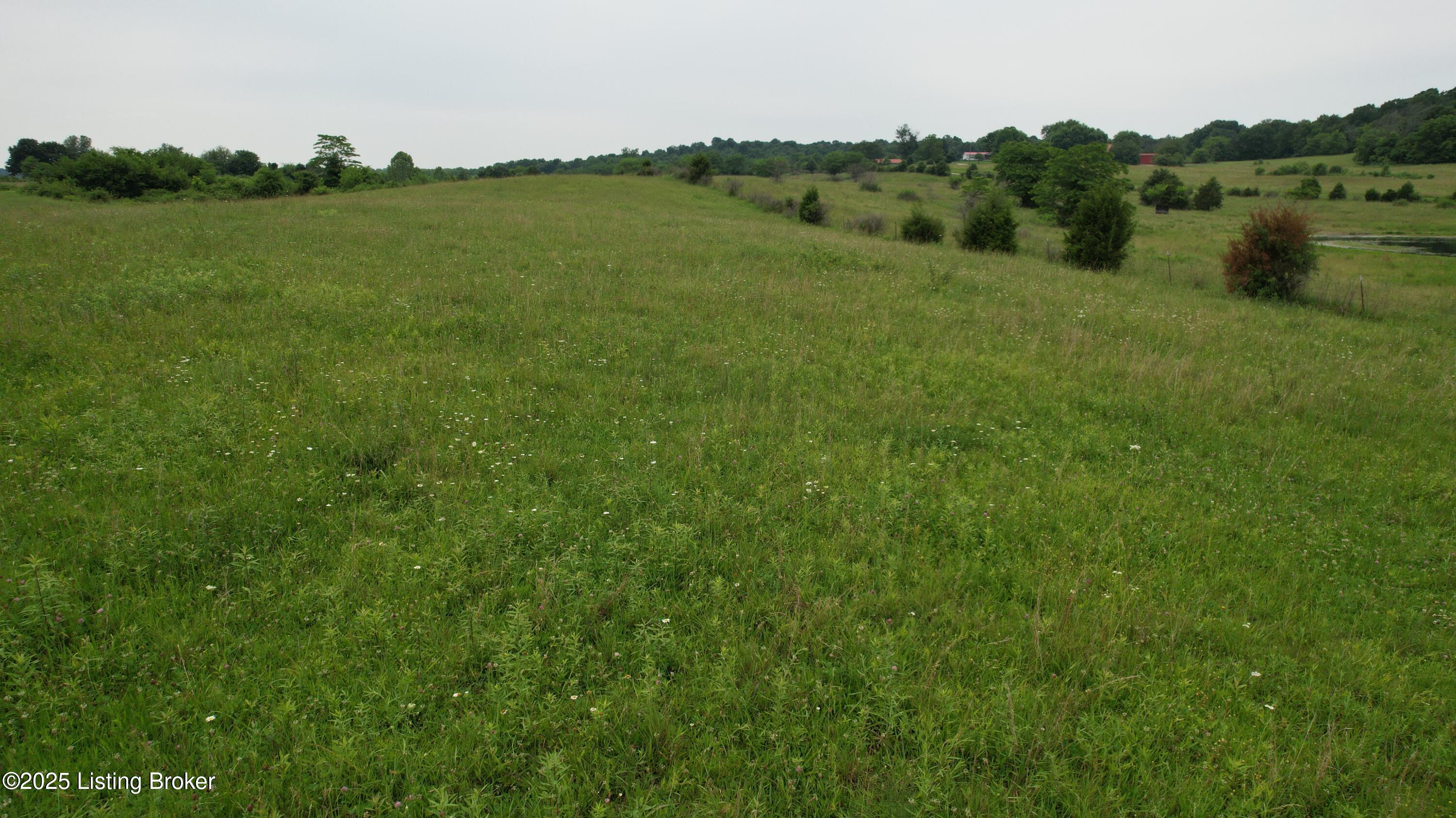 0 Upton Road Upton, KY 42784 - Photo 63 of 71 DJI_0991