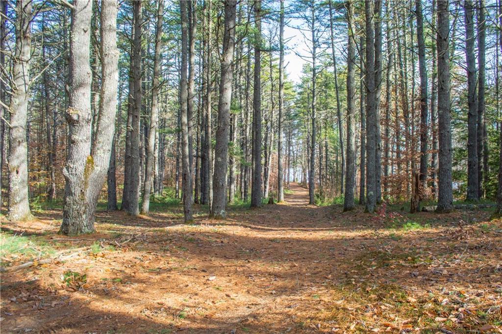 30 Browns Point Road Naples, ME 04055 - Photo 10 of 10 Photo