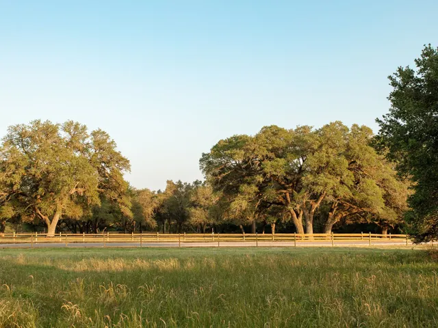 $2,399,999 | 133 Drake Lane, Round Top, TX 78954