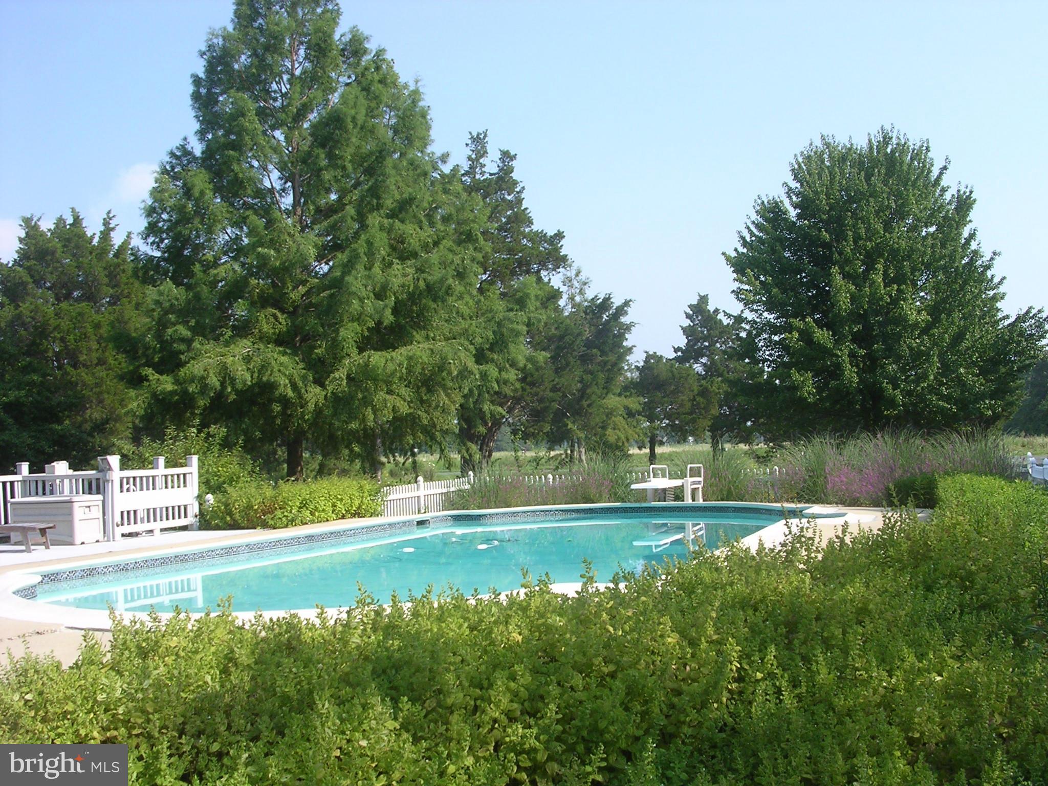 728 Twin Point Cove Road Cambridge, MD 21613 - Photo 8 of 30 In ground pool