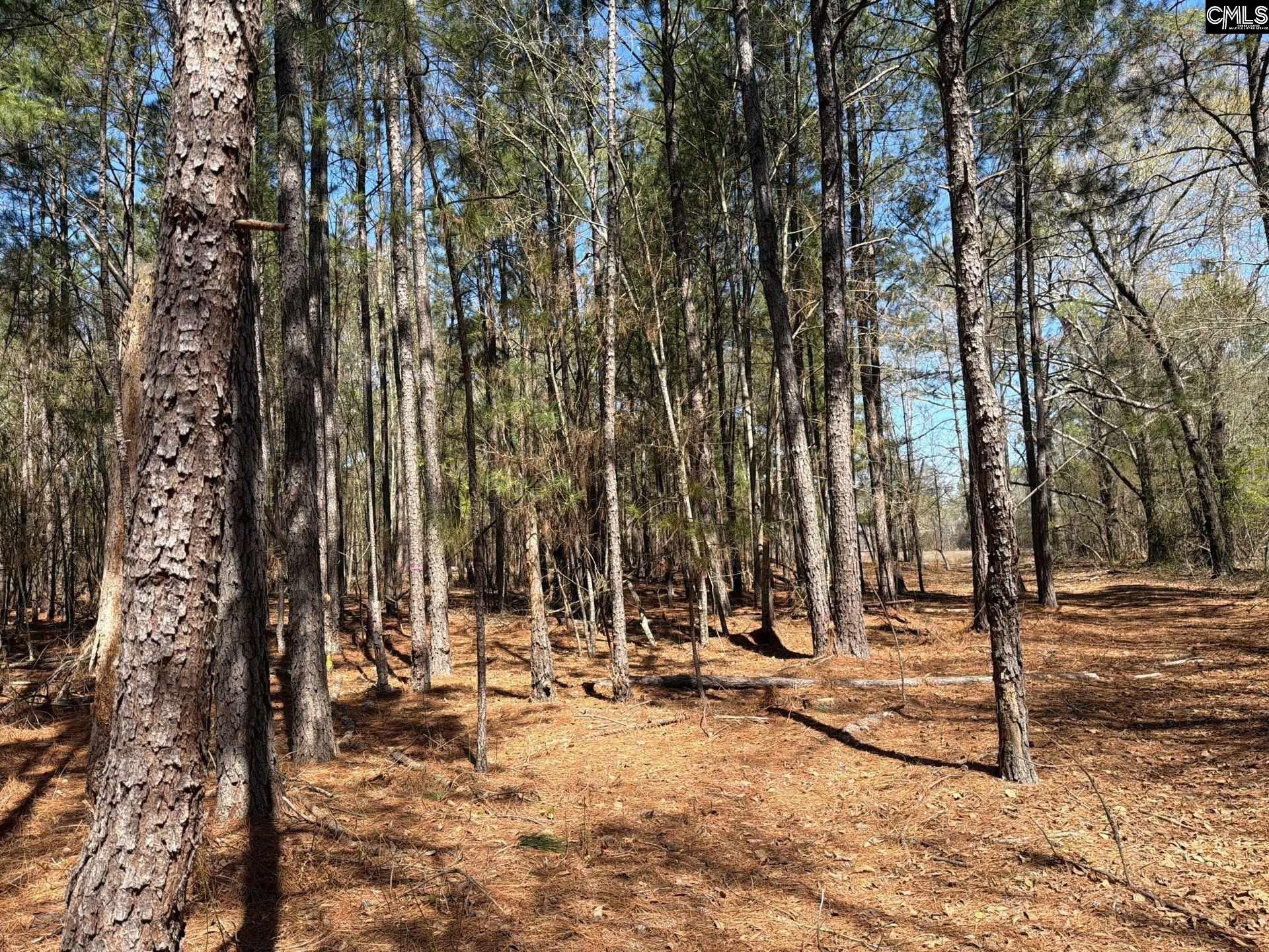 13 Boise Cascade Road, Unit BHL 13 Bethune, SC 29009 - Photo 16 of 31
