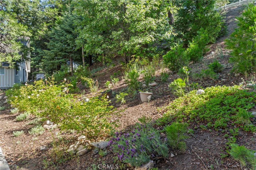 197 Massive Road Lake Arrowhead, CA 92352 - Photo 57 of 72