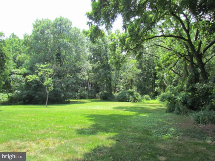 645 Susquehanna Road Ambler, PA 19002 - Photo 24 of 25 Back Yard