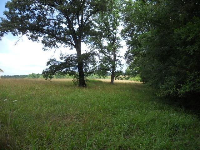1130 Walnut Grove Road Dickson, TN 37055 - Photo 17 of 17 Back side of property.