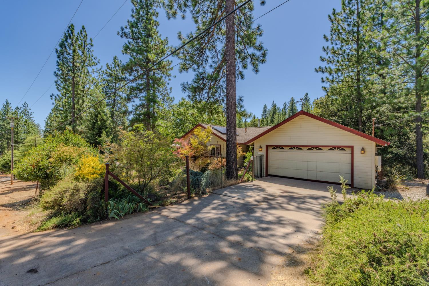 a view of a house with a large tree and a yard