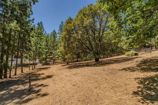 a view of a yard with trees