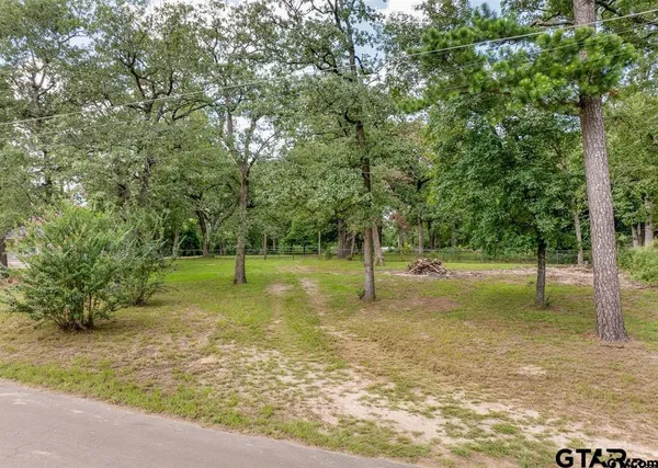 a view of a tree in a park