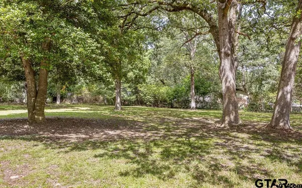 a view of a tree in the middle of a yard